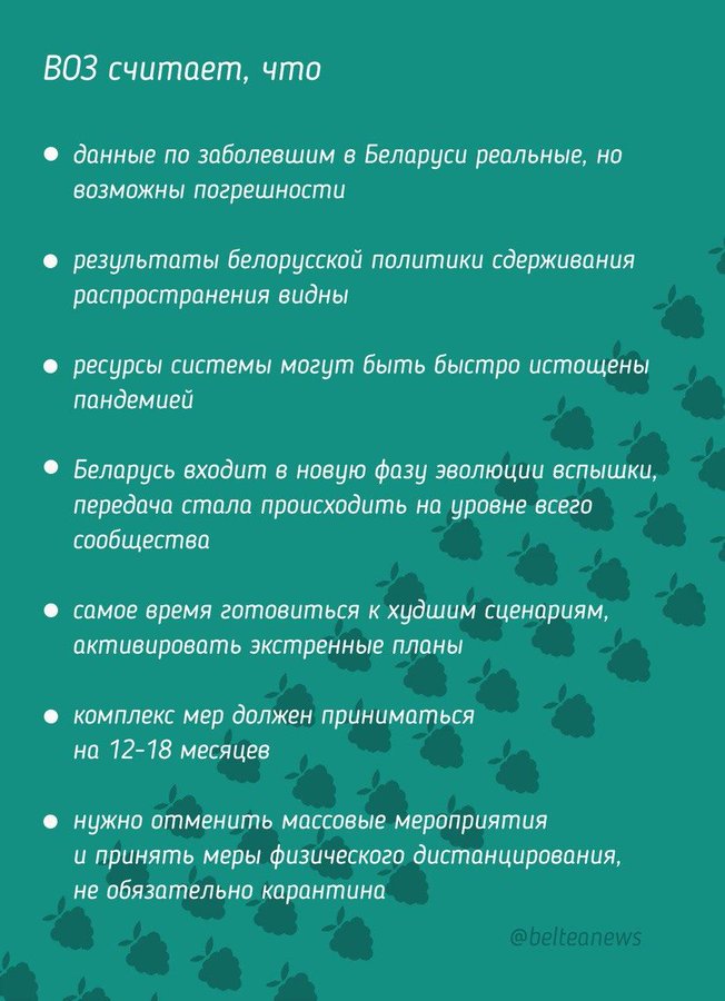 Что сказал ВОЗ про Беларусь - в одной картинке