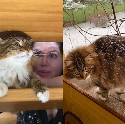 Звезда «Моей прекрасной няни» Жигунов живет вместе с «двойником» Анастасии Заворотнюк