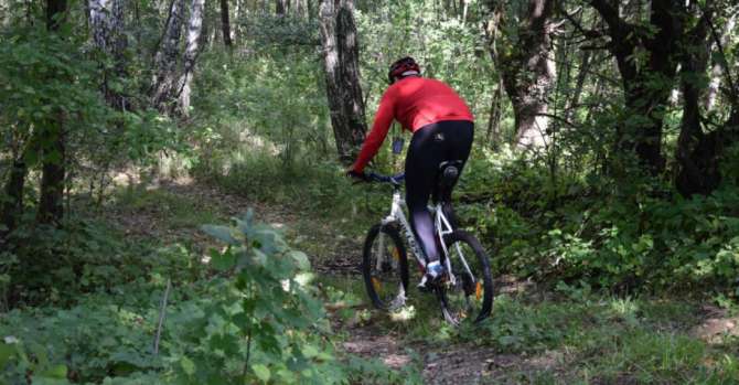Cycling route 45 km long to appear in Chernobyl zone
