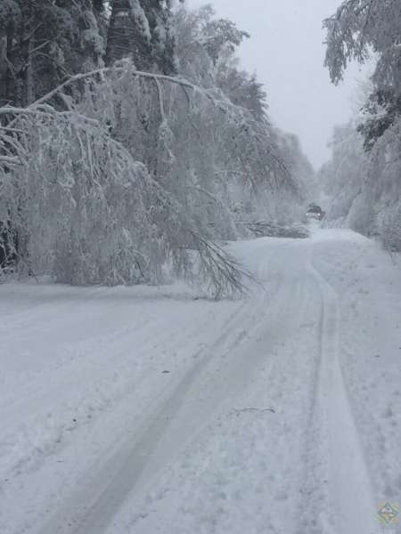 В некоторых регионах «Ларс» превзошел печально известный «Хавьер» 2013 года