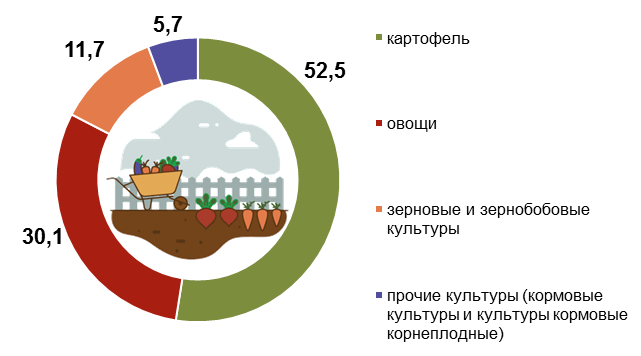 На личных подворьях белорусов доминирует картофель