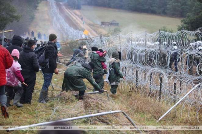 Мигранты рубят деревья возле белорусско-польской границы
