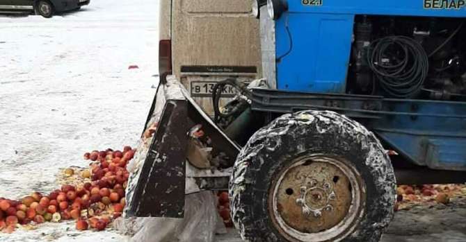 В России раздавили экскаватором 1,9 тонны яблок из Беларуси