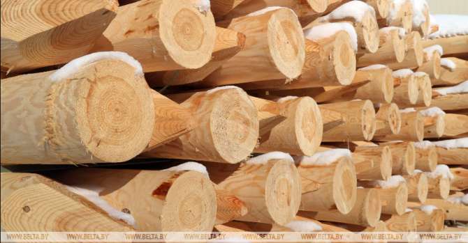 PM: If necessary, Belarus will stop timber supplies to Lithuania