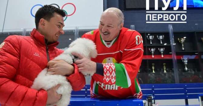 Побитую собаку из Витебска Лукашенко подарил Баскову. Хозяйка в ИВС