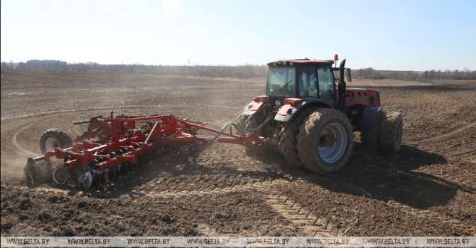 Buckwheat planting in Belarus 37.5% complete