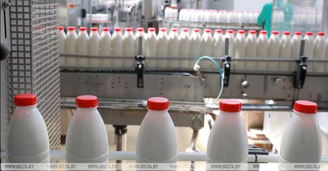 Minister: Belarus ensures its food security, becomes large agricultural exporter