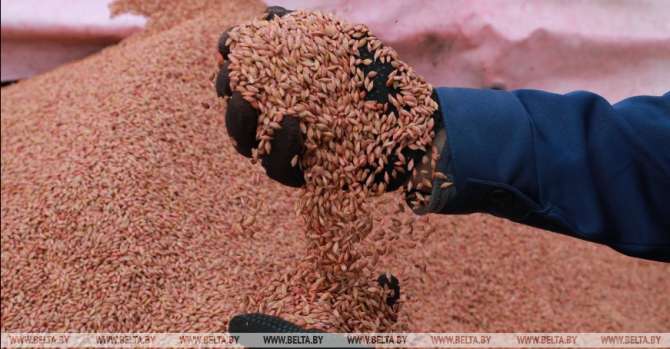 Agriculture ministry: Belarus fully self-sufficient in food