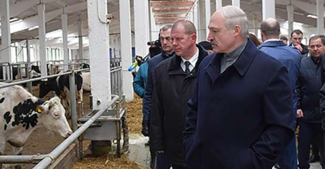 Лукашенко обнаружил в Беларуси продовольственную диверсию
