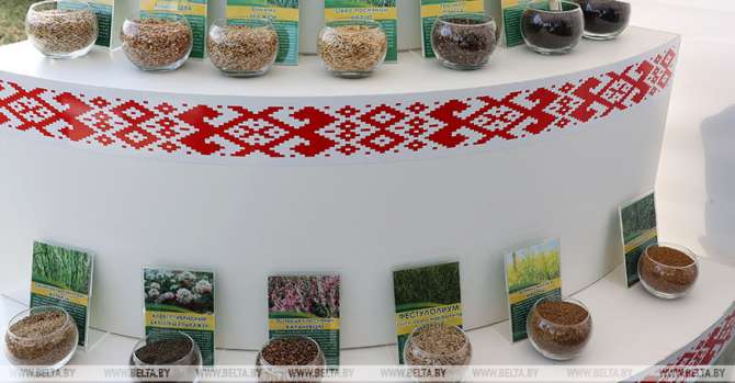 Agriculture minister: Belarus' seed industry has made great strides over 15 years