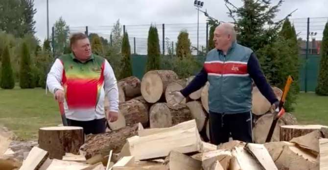 Лукашенко нарубил дров, чтобы помочь Польше не замерзнуть зимой