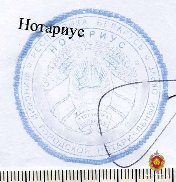 Минчанка пыталась въехать в Литву с ребенком по поддельным документам