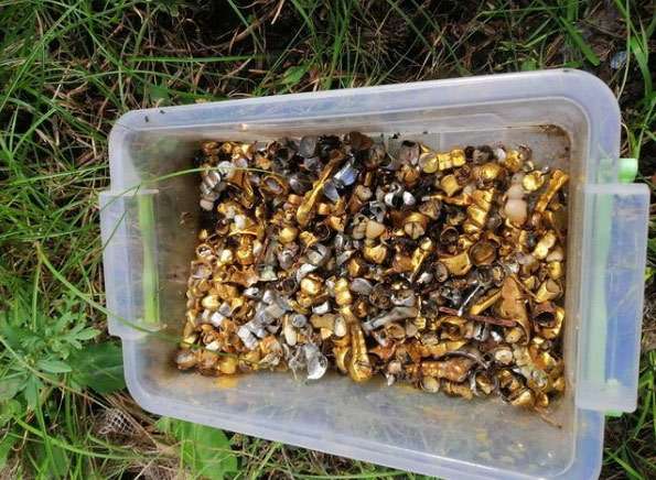 Роднянский: «Если так, как сейчас, пойдёт и дальше, то новый лидер у России может появиться много раньше, чем многие думают»