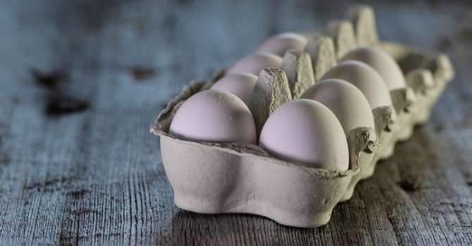 Крупный белорусский производитель яиц прекращает поставки в Россию из-за «нехватки продукции»