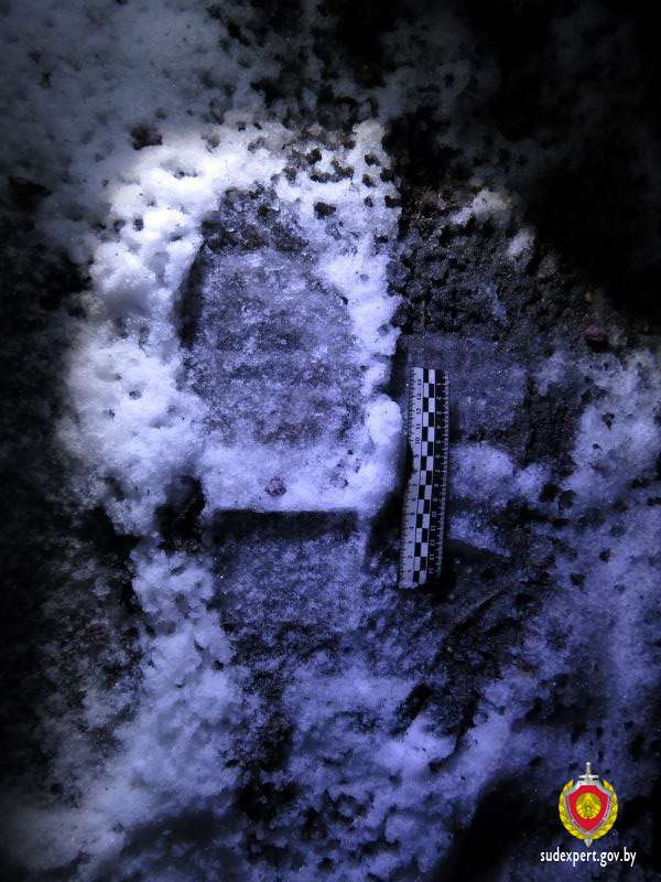 Белорус построил ферму для майнинга в неприметном сельском доме, но что-то пошло не так