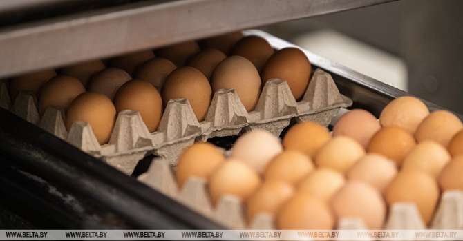 Belarus' companies might contribute to ensuring Qatar's food security