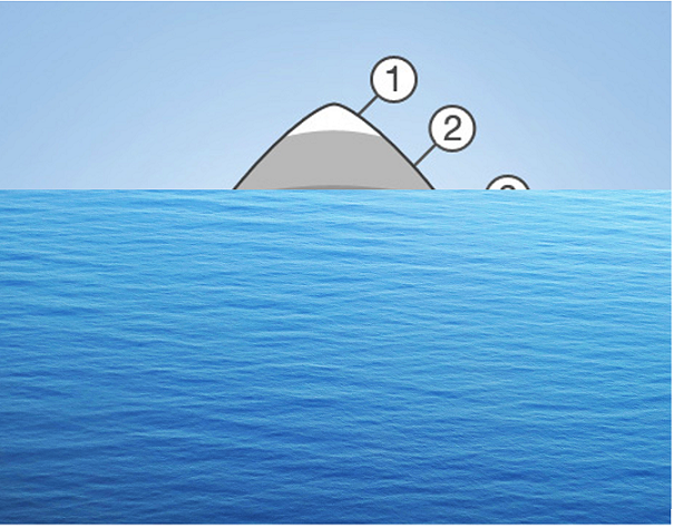 Акунин: «Из темной воды торчит только верхушка – немногочисленные бесстрашные люди»