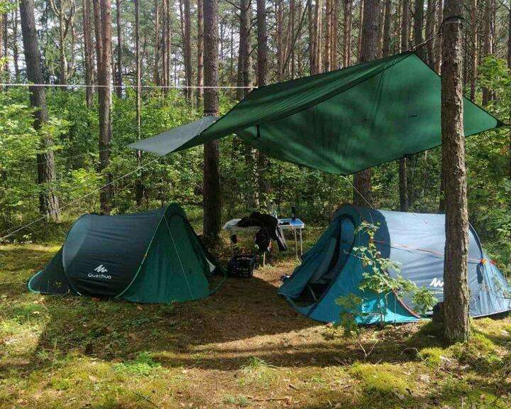 Под Новогрудком разогнали подростковый скаутский лагерь из-за шевронов участников