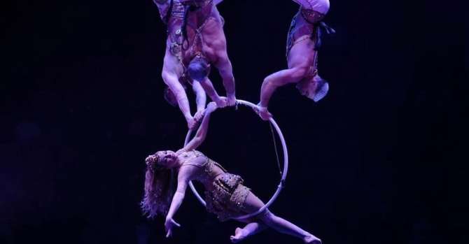 Гимнастка сорвалась с кольца под куполом цирка в Новосибирске