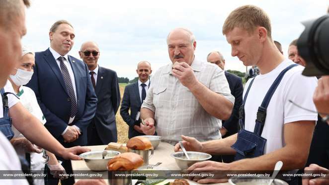 6 «чудес» лукашенковского сельского хозяйства