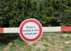 Белорусам уже запрещают даже ходить в лес