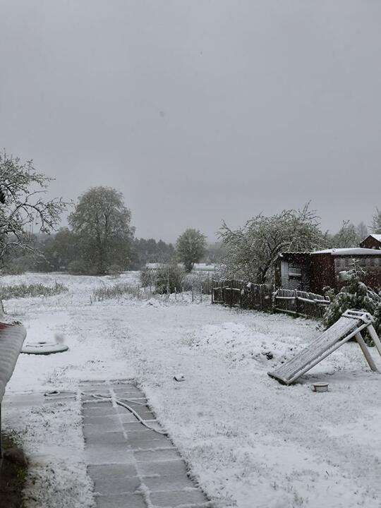 Совсем несмешная апрельская шутка. Беларусь с самого утра засыпало снегом и даже замело
