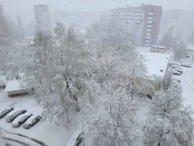 В Беларуси снова выпал снег. А в Витебск вернулись метели