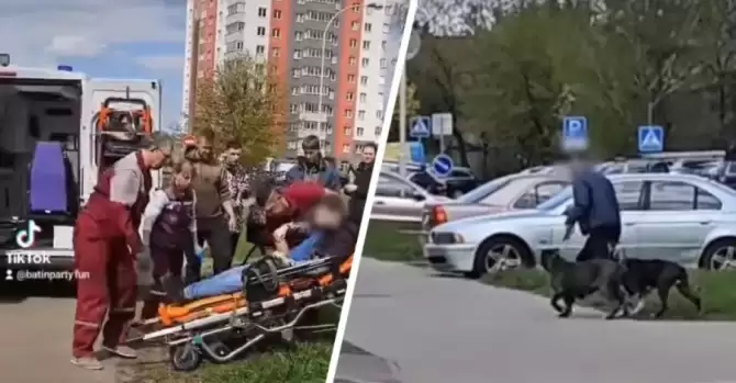 «Одна вцепилась в ногу, другая кусает за голову». В Минске на парня с инвалидностью напали бойцовские собаки
