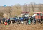 Белорусских школьников отправляют убирать камни с полей и сажать картошку