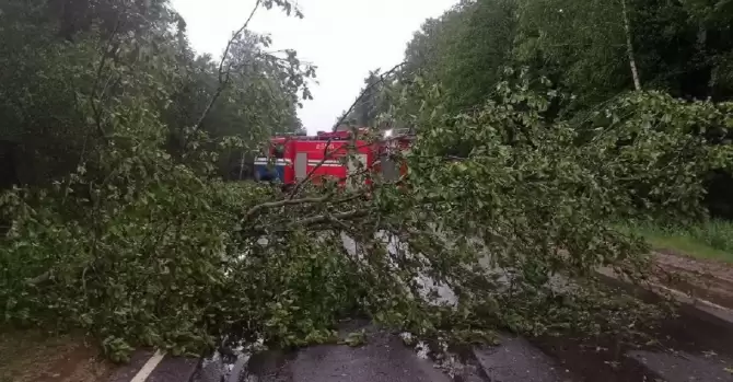 Деревья падали на железную дорогу, задерживались десятки пассажирских поездов