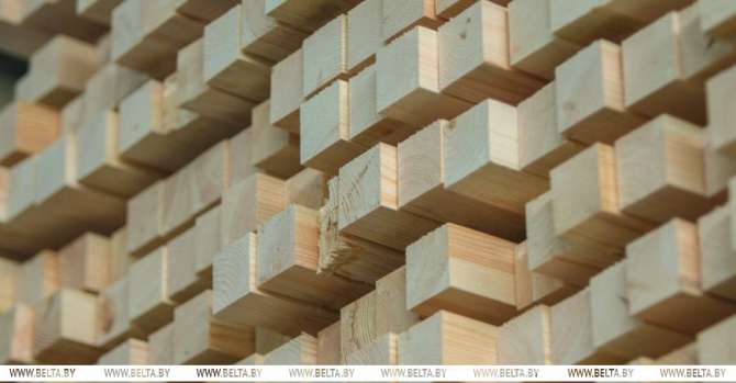 Belarus to export record-high amount of timber in 2024