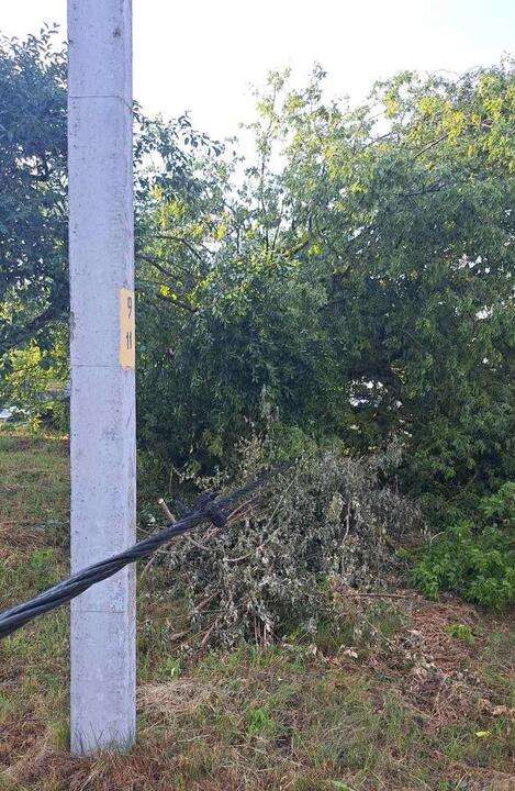 По Брестской области прошлась непогода — без электричества остались 48 населенных пунктов