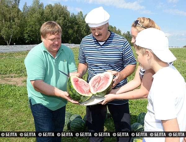 Под Минском спешно строят гольф-поле для Трампа?