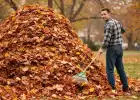 «Убрал — штраф. Не убрал — штраф». Люди возмущаются указами по поводу листвы