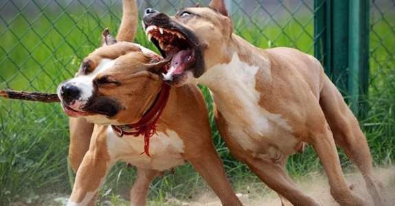 Система пошла