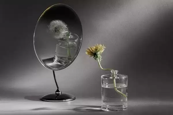 Почему в Витебской области «катастрофа может быть завтра»