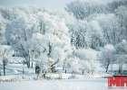 До −19 °С. В Беларуси 9 февраля ожидаются морозы
