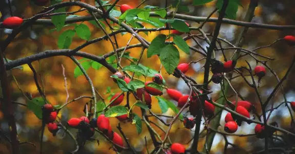 Что бывает, когда