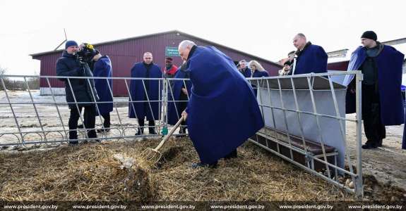 Дисциплина превыше
