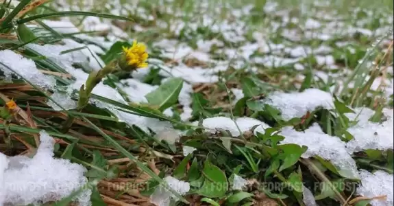 В Беларусь идет иранский циклон