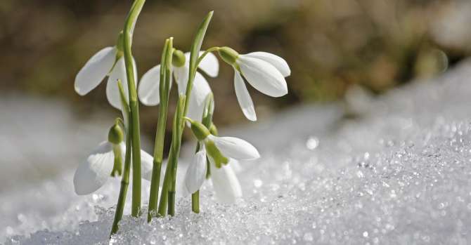 Март побил климатические рекорды