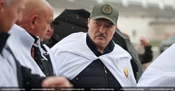 Курьез дня.