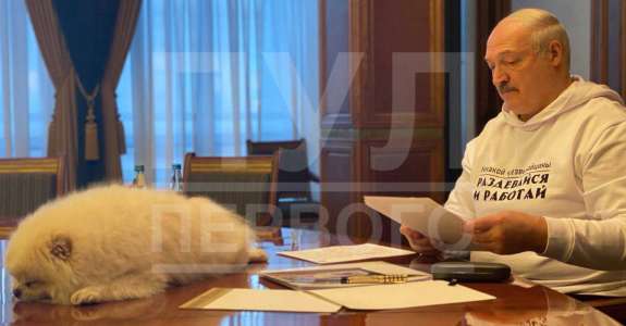 «Раздевайся и