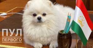 Иллюстрация к новости