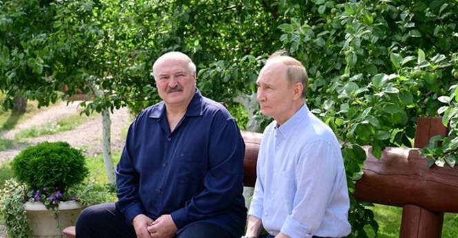 «Самый безнадежный щенок уже научился бы не гадить
