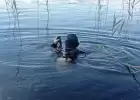 На озере под Полоцком нашли тело известного уролога Геннадия Щетко